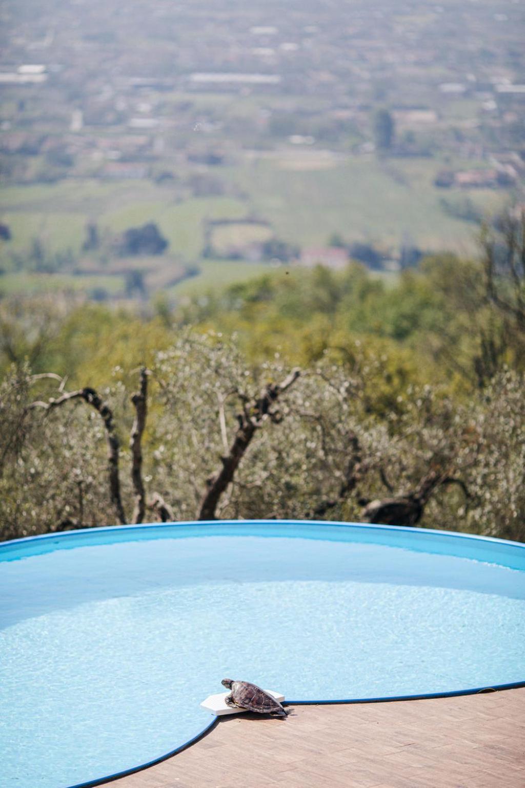Villa Desiderio Tuscany Pistoia Exterior photo